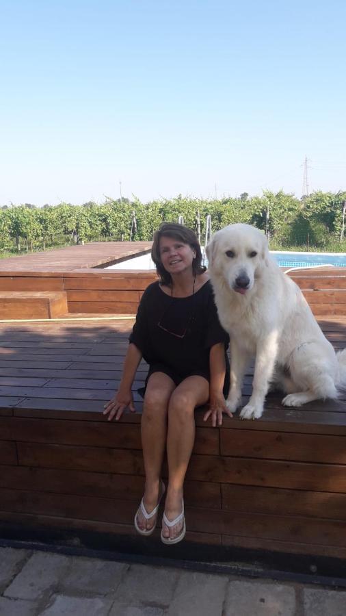 Tenuta Crescentini-Vallemura ,Appartamenti Con Entrata Indipendente San Dona di Piave Bagian luar foto
