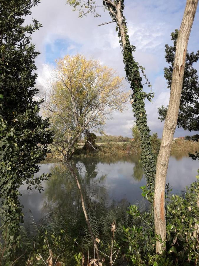 Tenuta Crescentini-Vallemura ,Appartamenti Con Entrata Indipendente San Dona di Piave Bagian luar foto