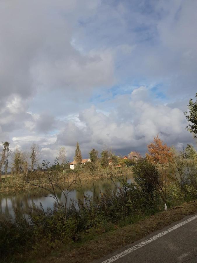 Tenuta Crescentini-Vallemura ,Appartamenti Con Entrata Indipendente San Dona di Piave Bagian luar foto