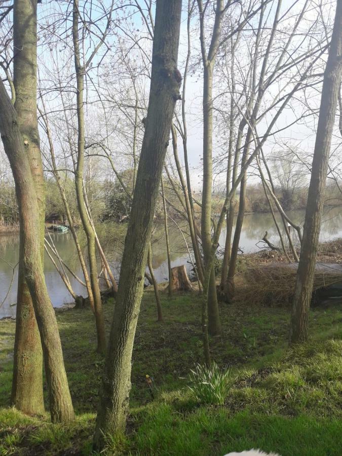 Tenuta Crescentini-Vallemura ,Appartamenti Con Entrata Indipendente San Dona di Piave Bagian luar foto