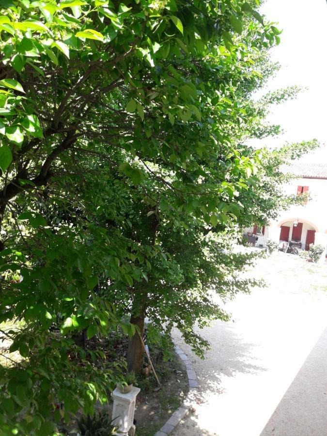 Tenuta Crescentini-Vallemura ,Appartamenti Con Entrata Indipendente San Dona di Piave Bagian luar foto