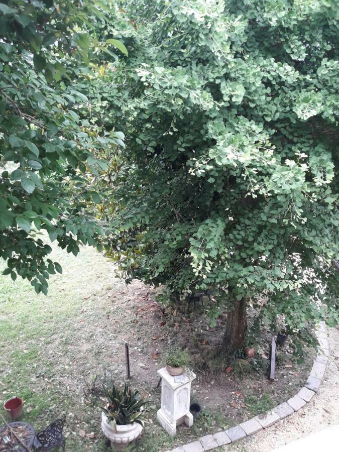 Tenuta Crescentini-Vallemura ,Appartamenti Con Entrata Indipendente San Dona di Piave Bagian luar foto