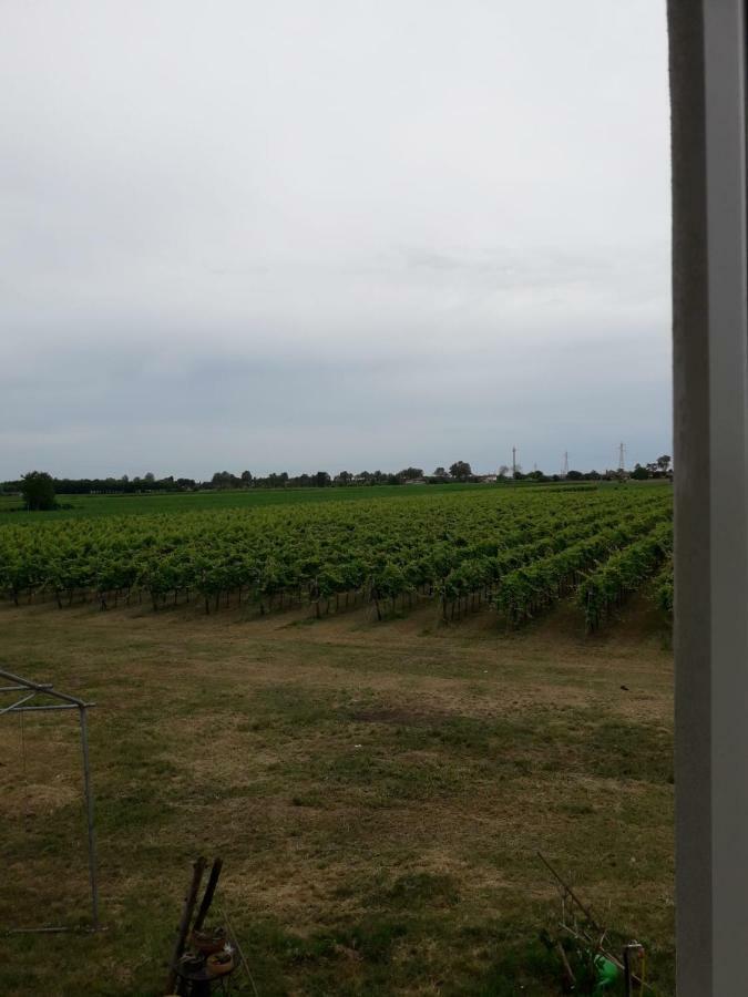 Tenuta Crescentini-Vallemura ,Appartamenti Con Entrata Indipendente San Dona di Piave Bagian luar foto