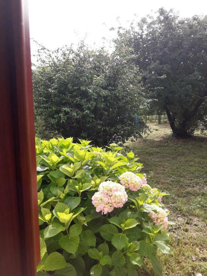 Tenuta Crescentini-Vallemura ,Appartamenti Con Entrata Indipendente San Dona di Piave Bagian luar foto