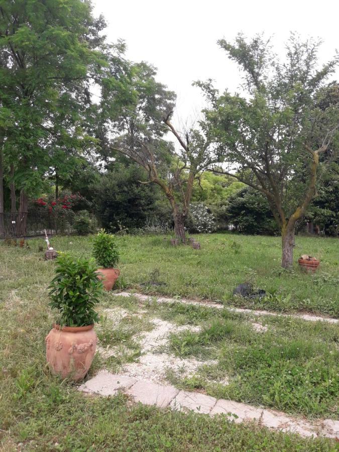 Tenuta Crescentini-Vallemura ,Appartamenti Con Entrata Indipendente San Dona di Piave Bagian luar foto