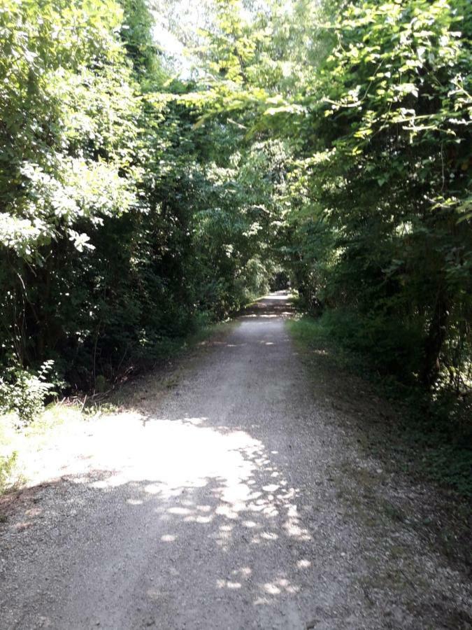 Tenuta Crescentini-Vallemura ,Appartamenti Con Entrata Indipendente San Dona di Piave Bagian luar foto