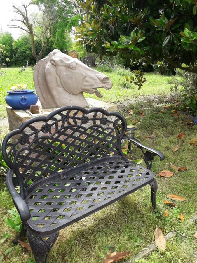 Tenuta Crescentini-Vallemura ,Appartamenti Con Entrata Indipendente San Dona di Piave Bagian luar foto