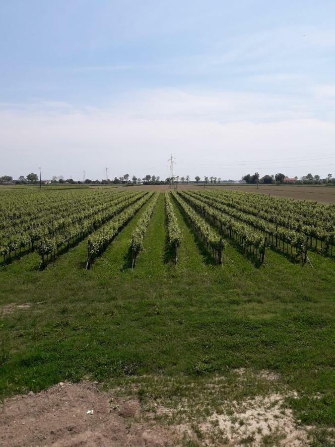 Tenuta Crescentini-Vallemura ,Appartamenti Con Entrata Indipendente San Dona di Piave Bagian luar foto
