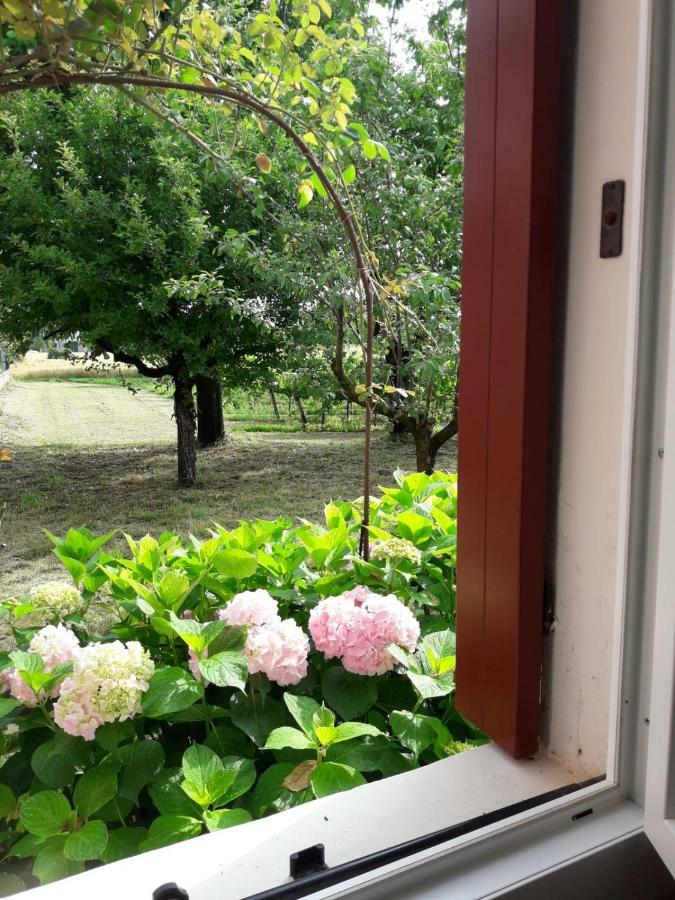 Tenuta Crescentini-Vallemura ,Appartamenti Con Entrata Indipendente San Dona di Piave Bagian luar foto