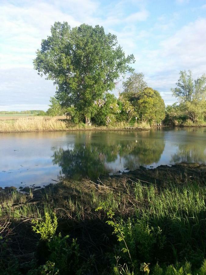 Tenuta Crescentini-Vallemura ,Appartamenti Con Entrata Indipendente San Dona di Piave Bagian luar foto