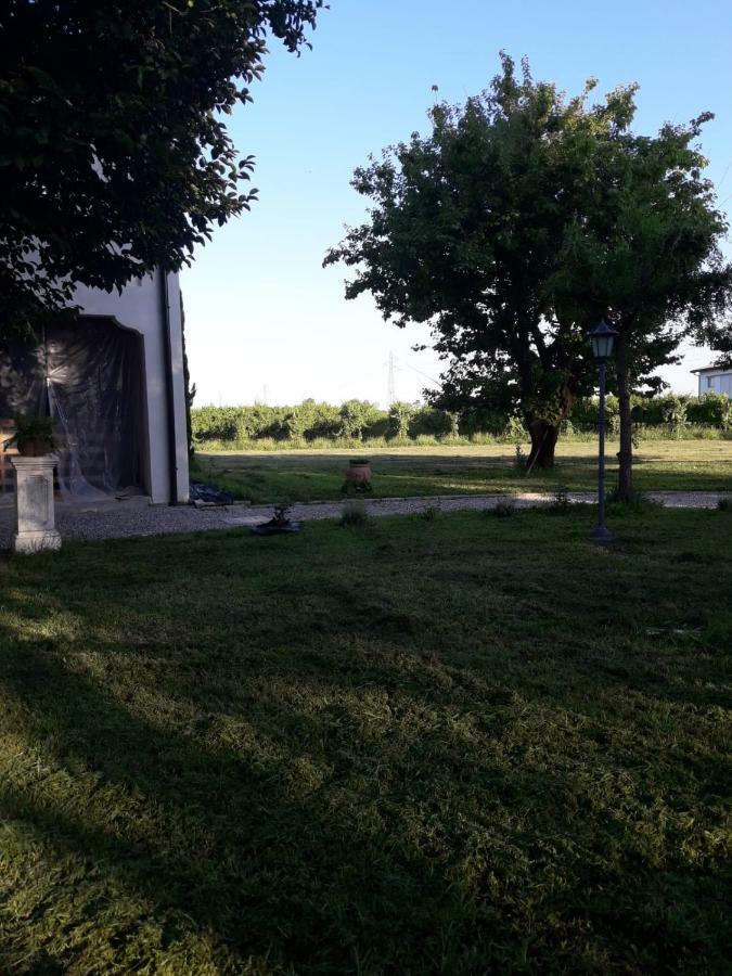 Tenuta Crescentini-Vallemura ,Appartamenti Con Entrata Indipendente San Dona di Piave Bagian luar foto