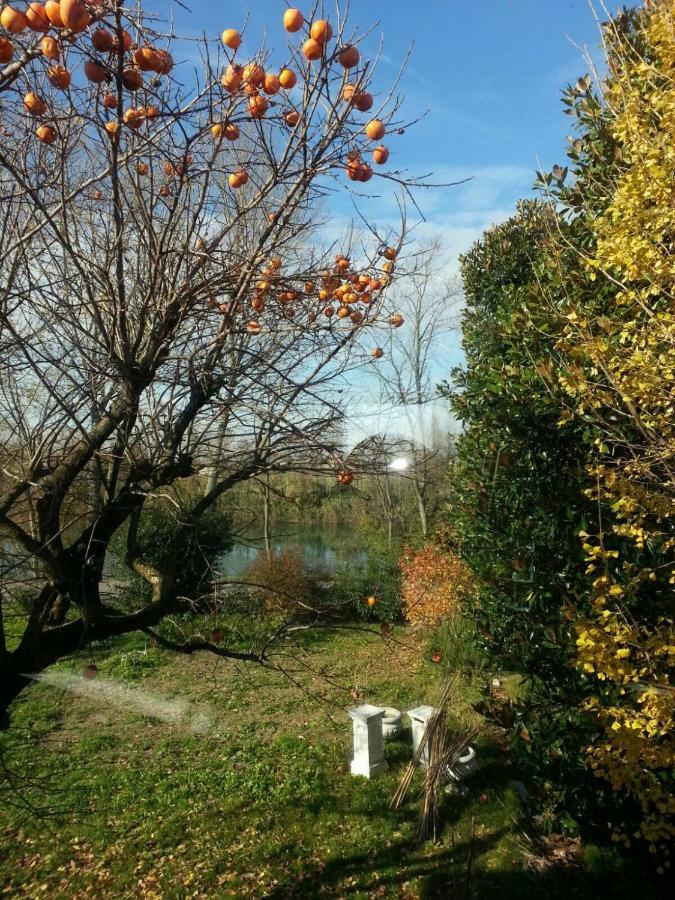 Tenuta Crescentini-Vallemura ,Appartamenti Con Entrata Indipendente San Dona di Piave Bagian luar foto