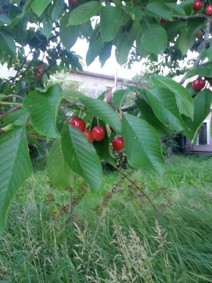 Tenuta Crescentini-Vallemura ,Appartamenti Con Entrata Indipendente San Dona di Piave Bagian luar foto