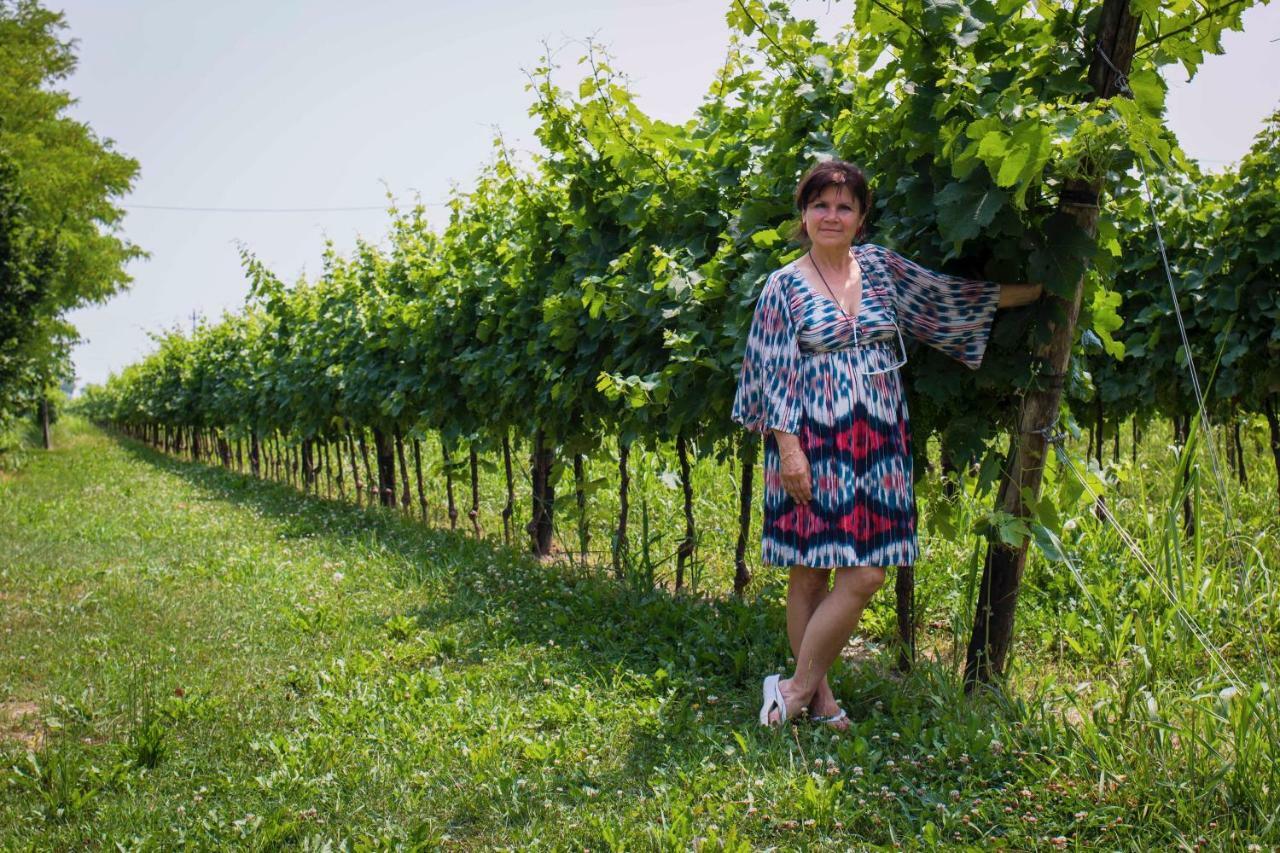 Tenuta Crescentini-Vallemura ,Appartamenti Con Entrata Indipendente San Dona di Piave Bagian luar foto